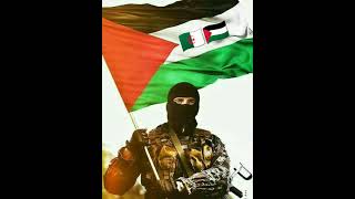 أذن للذين يقاتلون بأنهم ظلموا وإن الله على نصرهم لقدير #الله_اكبر #الله_معنا #فلسطين #الجزائر #🇩🇿💪🇵🇸