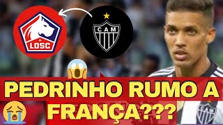 URGENTE !!! PEDRINHO  FICA !!!  EMPRESARIO ABRE O JOGO !!!  ULTIMAS NOTICIAS