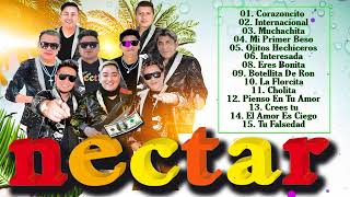 GRUPO NECTAR - CUMBIAS PERUANAS MIX 2023 - CUMBIAS PARA BAILAR TODE LA NOCHE 2023