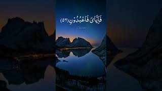 Surah Al Ankabut Verse 56,57 @Dargahitv #quran  #islamic video #islamic #عبدالرحمان مسعد 1