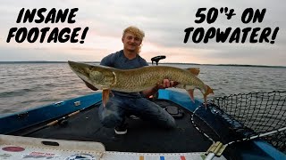 GIANT Explodes out of the water! | NEW PB | Leech Lake Musky Fishing