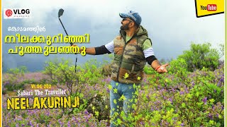 NEELAKURINJI |നീലക്കുറിഞ്ഞി പൂത്തു |NEEELAKURINJI Flower Blossom After 12 years