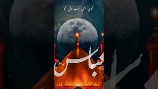 Abbas se kahna Alamdar se kahna hai 💕🌼💫 | Ali Shanawar #Molaabbasnoha #alamdar