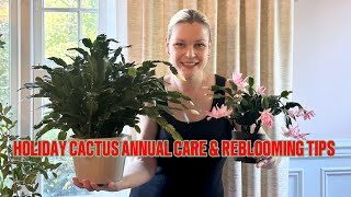 Holiday Cactus Care And Reblooming Tips For A Thriving Plant Year After Year