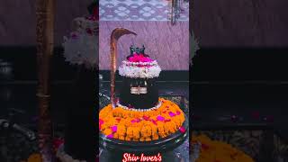 shiv hi shakti hai #shortvideo #reels #trending #shiv #viral