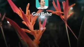 NGAJI BARENG GUS BAHA | AMALAN AGAR ANDA BERKHARISMA