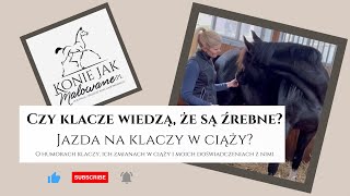 Czy klacze wiedzą, że są źrebne ? Humory i jazda na klaczy w ciąży ?