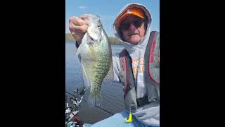 Longlining Kentucky Lake Crappie 04/07/24