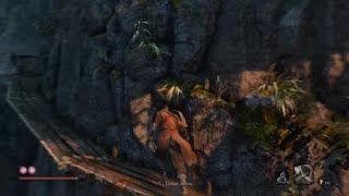 Sekiro™: Shadows Die Twice Stealth Kill