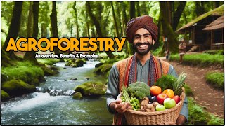 What is AGROFORESTRY..? An overview, Benefits & Examples