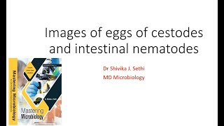 Images of Cestode and Nematode eggs