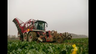 suikerbieten rooien door loonwerken Hendrix met een Vervaet beet eater