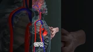 full form of CPR??#shorts #humanheart #medical