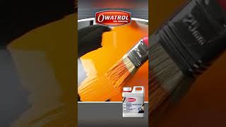 #shorts ESP Primer: The Secret to Perfect Paint Adhesion!