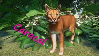 Caracal Remaster and New Variant by Gabboi - Planet Zoo Mod