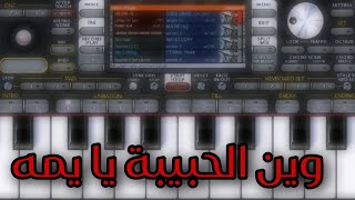 عزف - وين الحبيبة يا يمه وين الحبيبة - org 2024