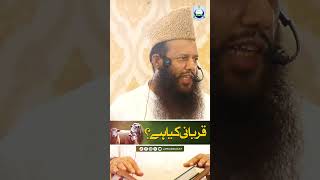 Qurbani Kia Hai | M.M.Y.K | Khutba-e-Jumma | Jamia Al DIrasat.