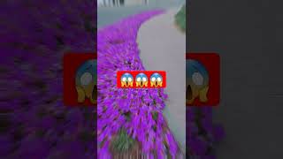 #Beautiful flowers#Dubai road#flowers by roadside#Viral trending video