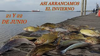 GRAN PESCA EN EL PARANA...ISLAS CAZADORES...UN LUGAR QUE SIEMPRE ENAMORA...