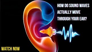 3D Ear Models: The Future of Hearing Explained | Hearing Aids