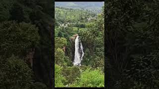 Devon Falls😮#Sri Lanka#subscribe#travel#srilanaka#nuwaraeliya#nature#maskeliya#lanka#travelsl