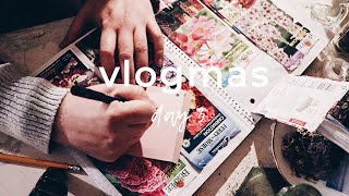 How to Harvest Flower Seeds For Next Year // Vlogmas Day 3