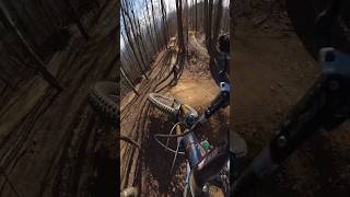 This kid shreds! #mtb #downhillmtb