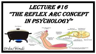 "The Reflex Arc Concept In Psychology" By "John Dewey"