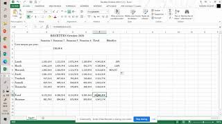 Excel exo Recettes   Bénéfice en %   Utilisation $