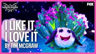 Leaf Sheep STUNS With “I Like It, I Love It” by Tim McGraw | Season 12