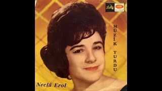 Necla Erol - Cevizin Yaprağı Dal Arasında