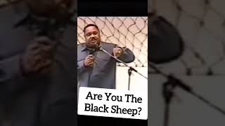 The Black sheep in families                    #blackenergy  #specialchild #blacksheep #mindset