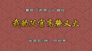 秦腔《游龟山》选段：我的父官高势又大/张武宏演唱《冬火秦腔精选》