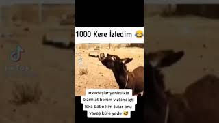 EŞŞEK KAFAYI YEDİ!!!????