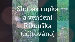 Shopastrupka a venčení Rikouška (editováno)