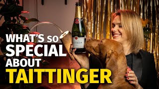 What's So Special About TAITTINGER Champagne