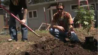 Kyle Kushman & Shiloh Massive Veganic Cannabis Cultivation 2013