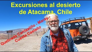 Excursión a la cordillera de Atacama: Quebrada Carrizalillo, cuesta Castaño a La Guardia