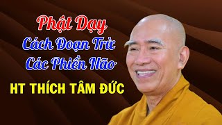 Phật Dạy Cách Đoạn Trừ Tất Cả Phiền Não - Hoà Thượng Thích Tâm Đức