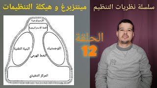 نظريات التنظيم الحلقة 12 : مينتزبرغ و هيكلة التنظيمات Mintzberg