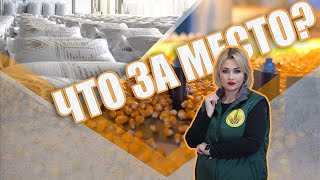 ЧТО ЗА МЕСТО? | Комплекс по подготовке семян