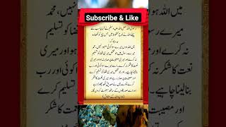 اولیا اللہ کے اخلاق#shortsviral #youtube #islamicshort