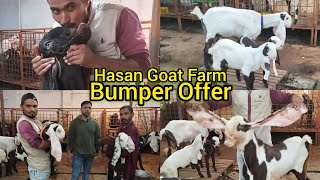 Hyderabadi Bakriyo Ka Naya Collection @Hasan Goat Farm | Charminar | Hyderabad🐐🐐