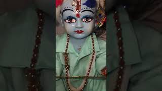 Mero Kanha gulab Ko phool#krishu #trendingshorts #ladduu #viralvideo