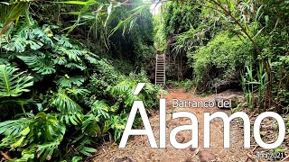 Bco. del ÁLAMO. Teror (abril 2021) #GranCanaria #Teror #BarrancodelAlamo