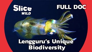 Surprising Encounters with the Rich Biodiversity of Papua New Guinea | SLICE WILD | FULL DOCUMENTARY