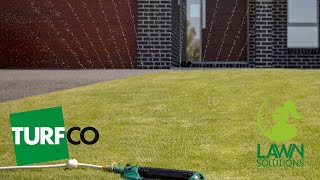 Do You Need To Water Your Lawn in Winter? | with Joe Rogers