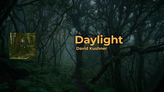 Daylight  - David Kushner - Lirik