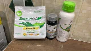 Last foliar spray on rice crop to get high yield | Speedfol cereal | Fugione | pikasu | Kissan Ghar