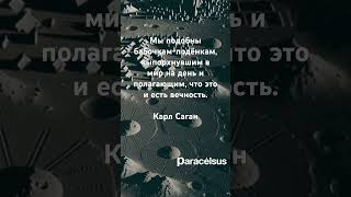 Бабочки и вечность. Карл Саган. #цитаты